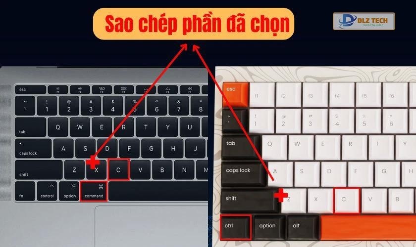 Các phím Command và Option trên MacBook