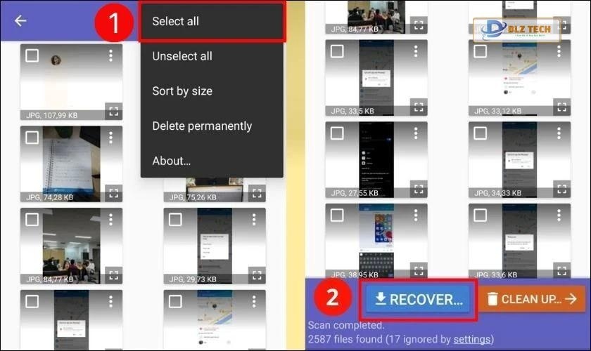 Bạn hãy bấm vào Select All và nhấn Recovery