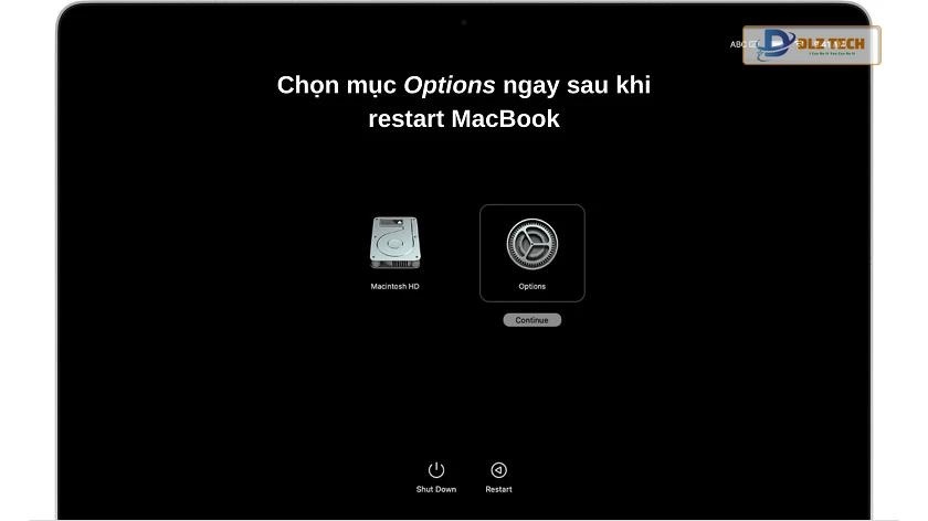 Hướng dẫn khôi phục cài đặt gốc MacBook Air / Pro với chip Apple