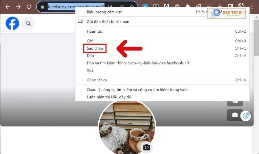 Nhấn chuột phải vào đường link và chọn Sao chép địa chỉ liên kết