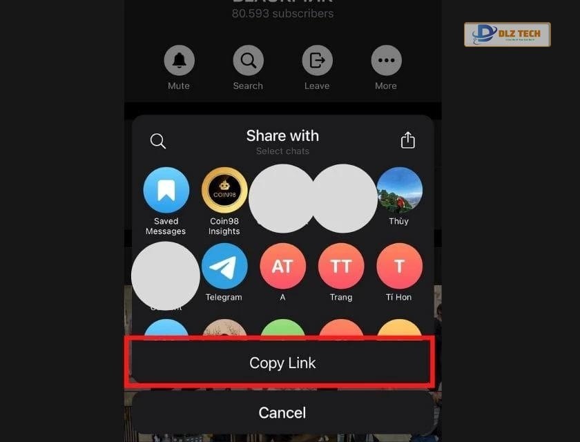 Cách lấy Telegram link trên điện thoại