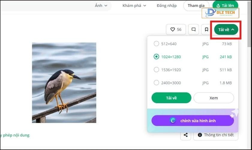 Bấm tải ảnh về máy
