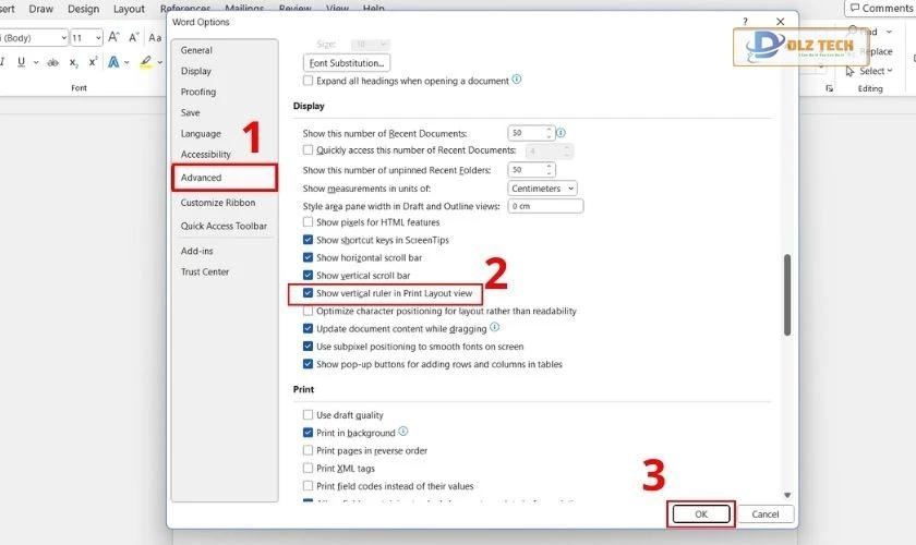 Đánh dấu vào ô Show vertical ruler in Print Layout view