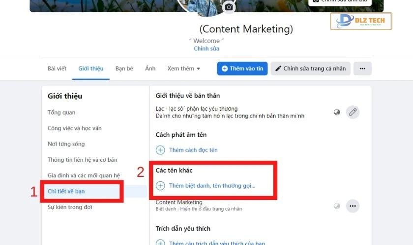 Vào mục giới thiệu, Chi về về bạn và chọn Các tên khác
