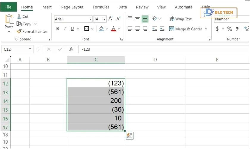 định dạng kiểu số âm