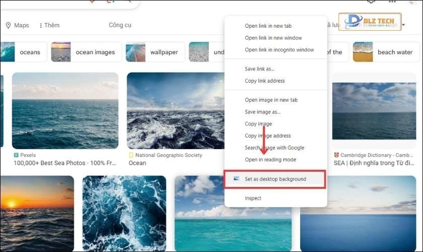 Chọn Set as desktop background