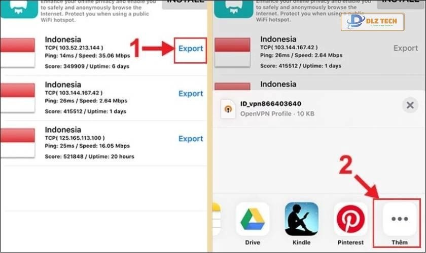 Chọn Proxy và Export