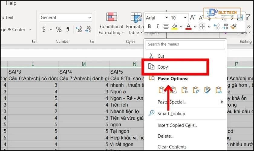 Sử dụng Paste Picture trong Word