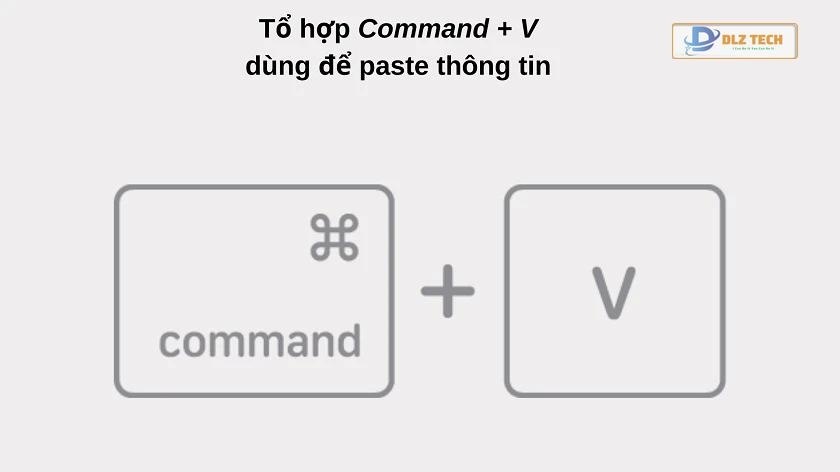 Cách copy paste trên MacBook Pro | Air
