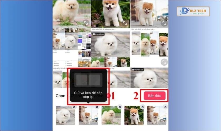 Chọn hình ảnh và nhấn Bắt đầu