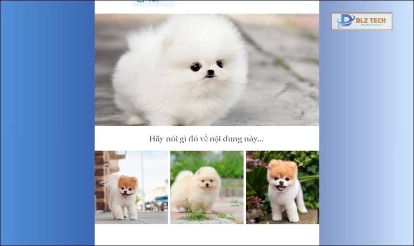 Bố cục đăng ảnh Facebook dạng biểu ngữ