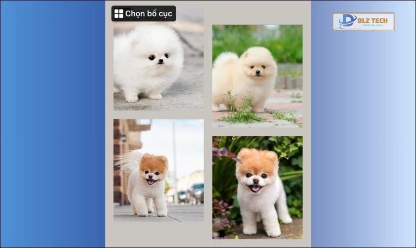 Bố cục đăng ảnh Facebook dạng khung