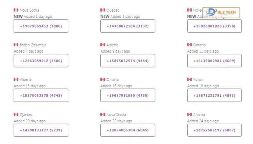 Chọn và nhập 1 số điện thoại bất kỳ