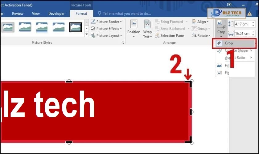 cách cắt hình ảnh trong word theo ý muốn bằng format