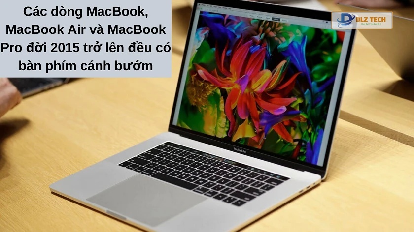 Bàn phím cánh bướm có trên dòng MacBook nào?