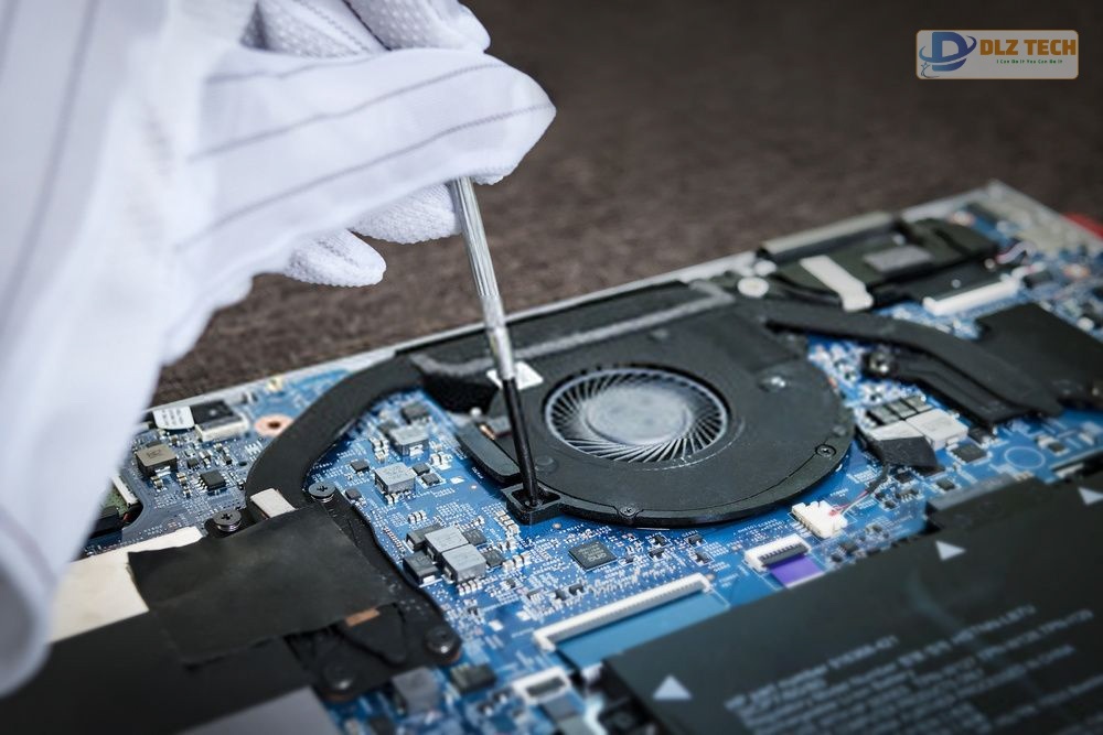 Sử dụng tinh dầu để đuổi kiến