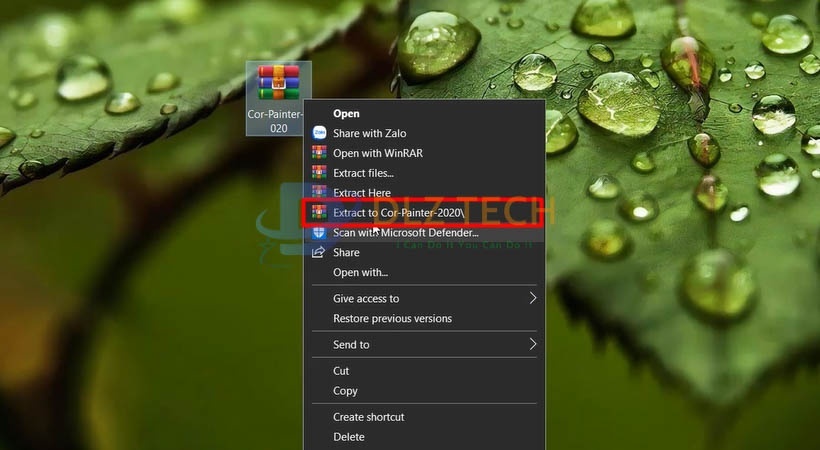 Cài Corel Painter 2020