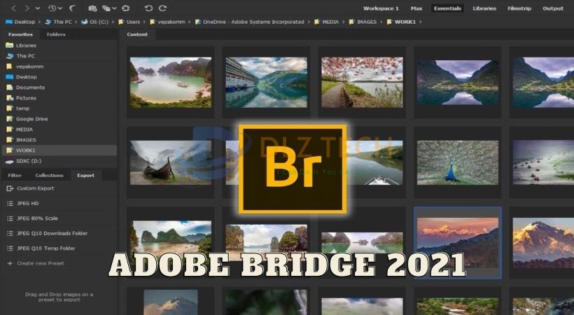 Hướng dẫn cài đặt Adobe Bridge 2021 chi tiết