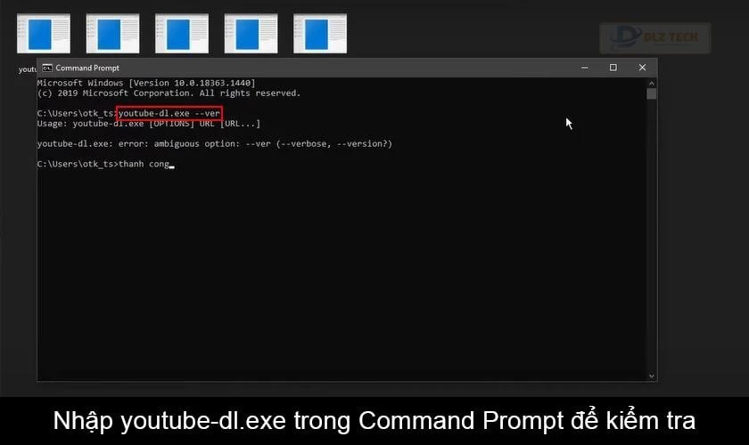 Kiểm tra cài đặt Youtube dl