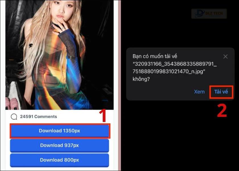 chọn chất lượng ảnh muốn tải về