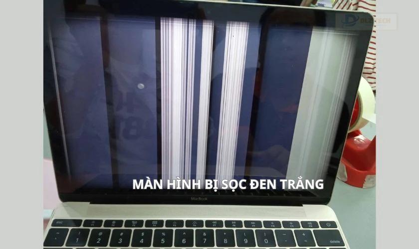 Màn hình laptop bị sọc đen trắng
