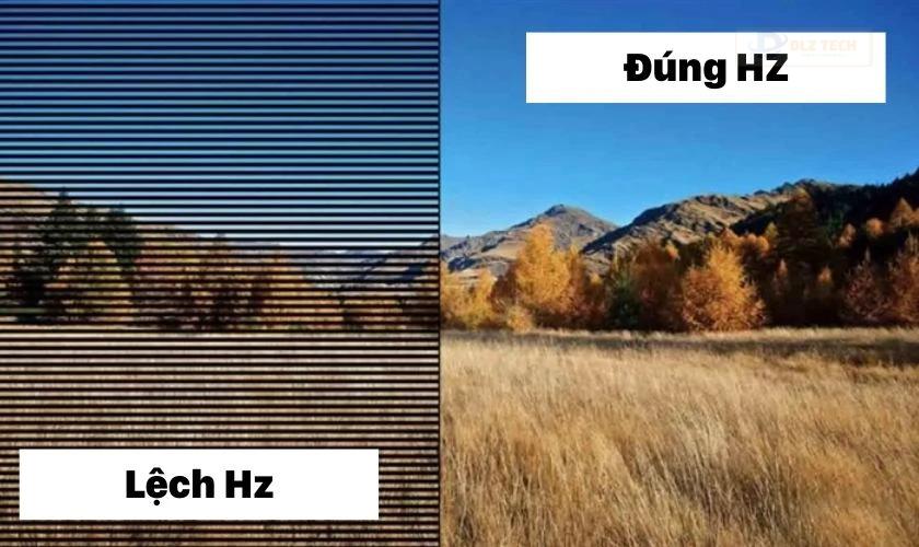 Lỗi tần số quét không chính xác