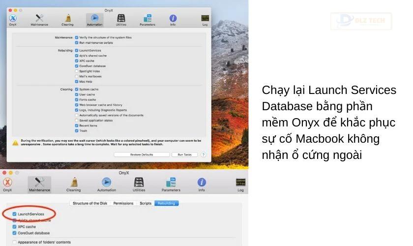 Chạy lại Launch Services Database