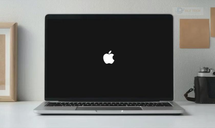 Giữ các phím đó đến khi logo trái Táo xuất hiện