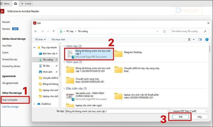 Mở file PDF trên phần mềm Adobe Acrobat Reader