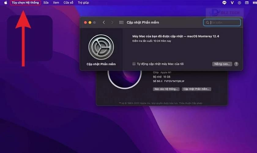 Cập nhật phiên bản macOS và Word mới nhất
