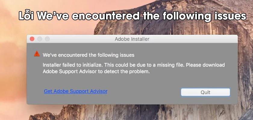 lỗi we've encountered the following issues