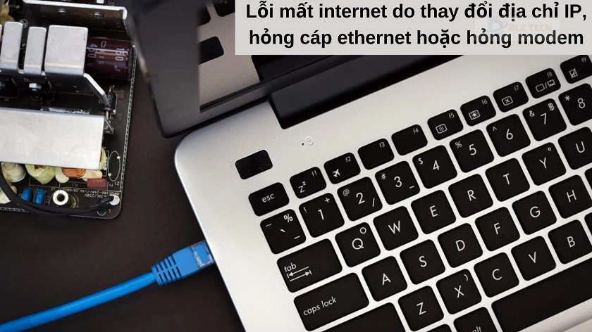 nguyên nhân máy tính có mạng nhưng không vào được web