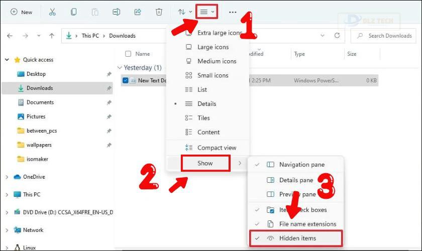 Cách hiển thị tệp đã ẩn trên Win 11