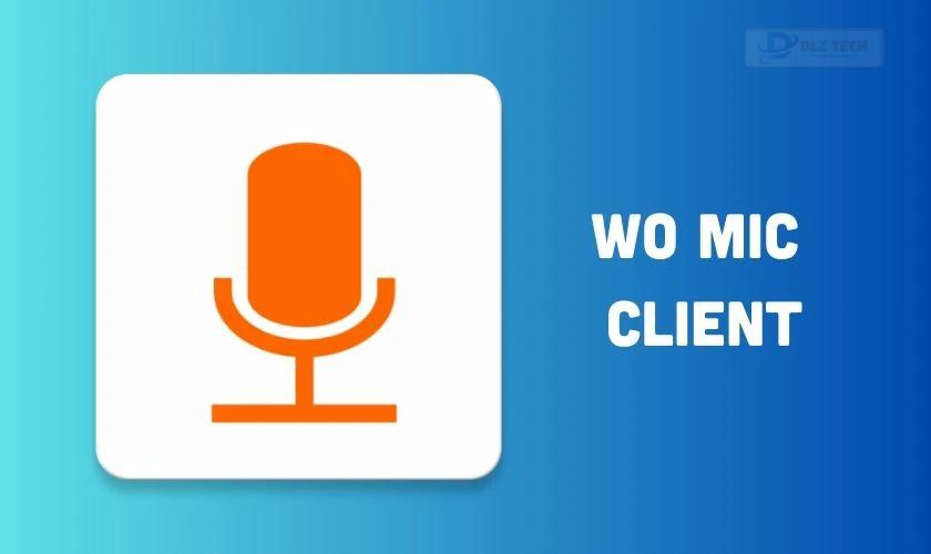 WO Mic Client