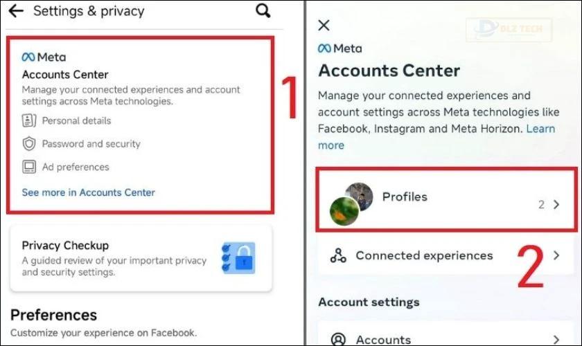 Trong mục Meta, chọn Profiles và chọn tài khoản Facebook bạn muốn thay đổi