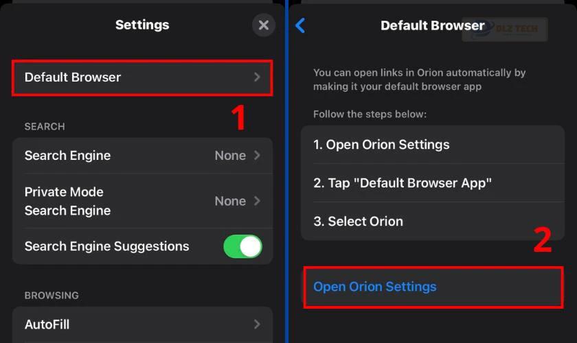 Tiếp theo bạn hãy chọn vào mục Default Browser