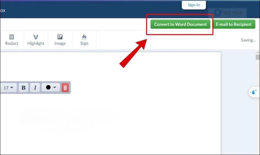 Convert to Word Document