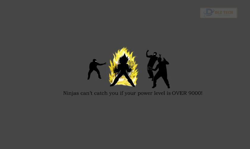 Meme Ninjas