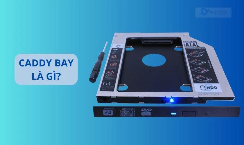 Caddy Bay là gì và cách chọn Caddy Bay?
