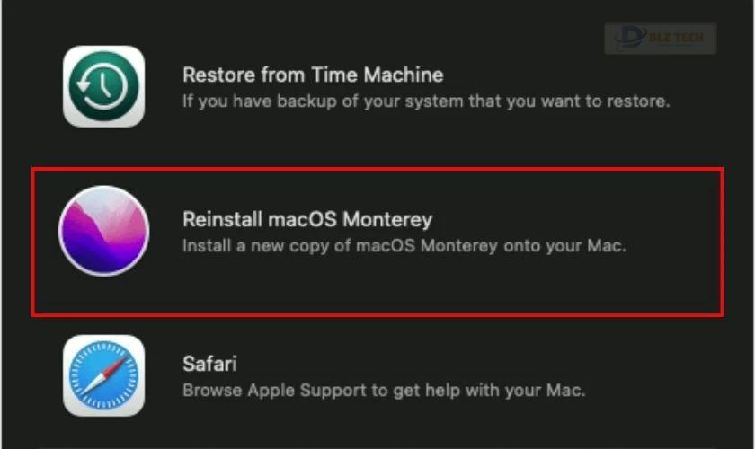 Chọn Reinstall MacOS Monterey