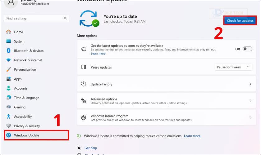 Tiếp đó bạn nhấn vào Check for updates để kiểm tra các bản cập nhật mới nhất