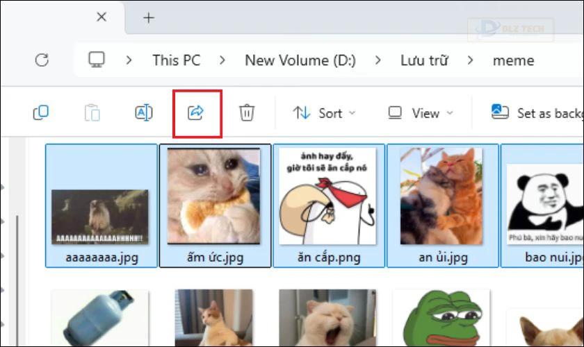 Chia sẻ tệp tin bằng Nearby Share Windows 11