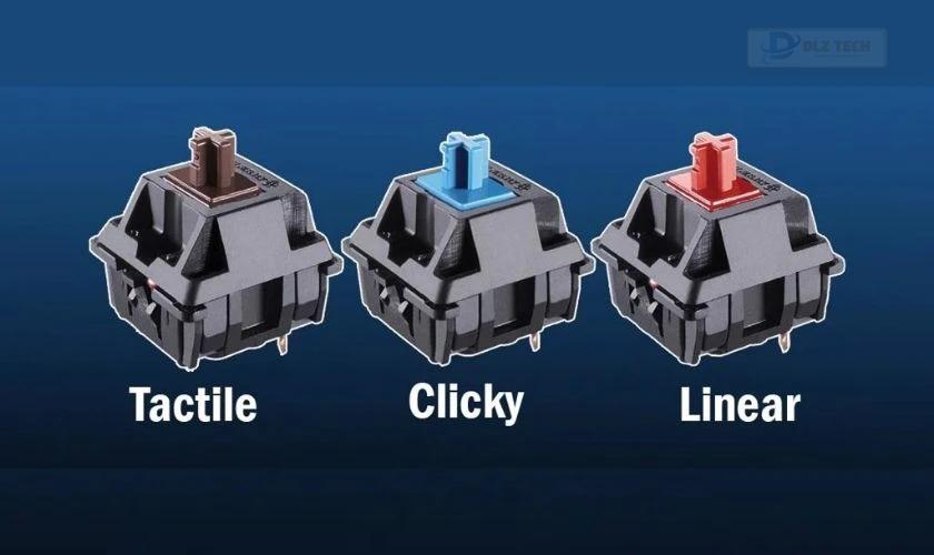 Switch bàn phím là gì?