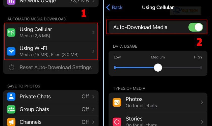 Chọn Using Cellular hoặc Using Wi-Fi trong Auto-download media
