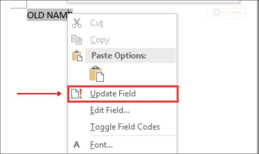 Chọn Update Field từ menu hiện ra