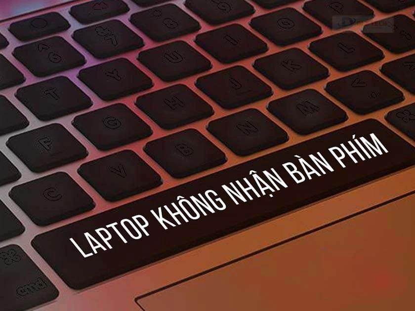 không nhận bàn phím