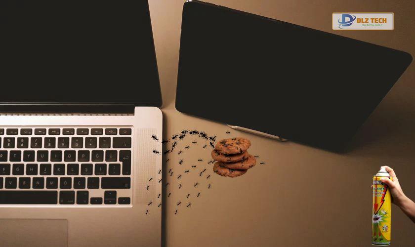 Dùng hào nước để đuổi kiến