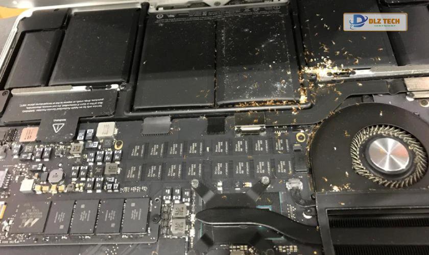 Laptop bị kiến có làm sao không?