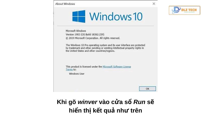 Cài tiếng Việt cho Win 10 SL (Windows 10 phiên bản Single Language)