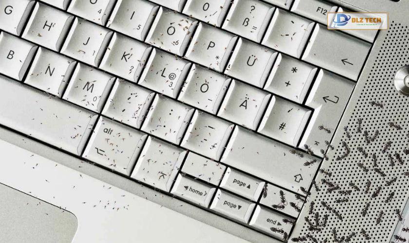 Loa laptop bị rè do côn trùng nhỏ gây hại